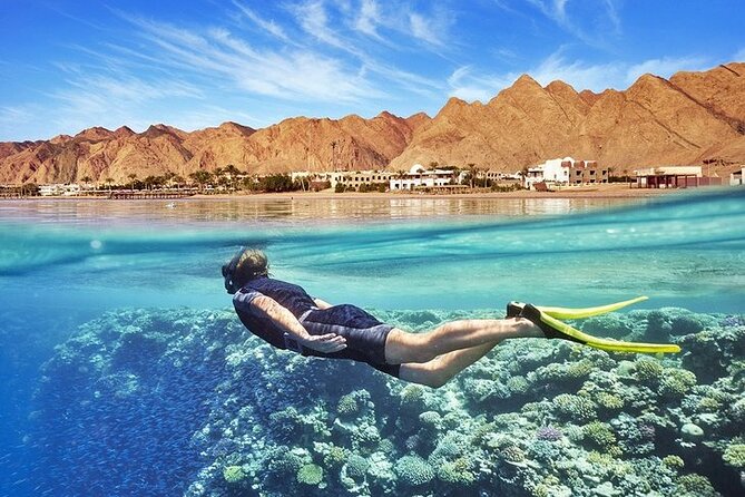 7 Days Sharm El Sheikh